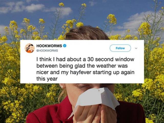 Don’t Sneeze On These Allergy Season Memes