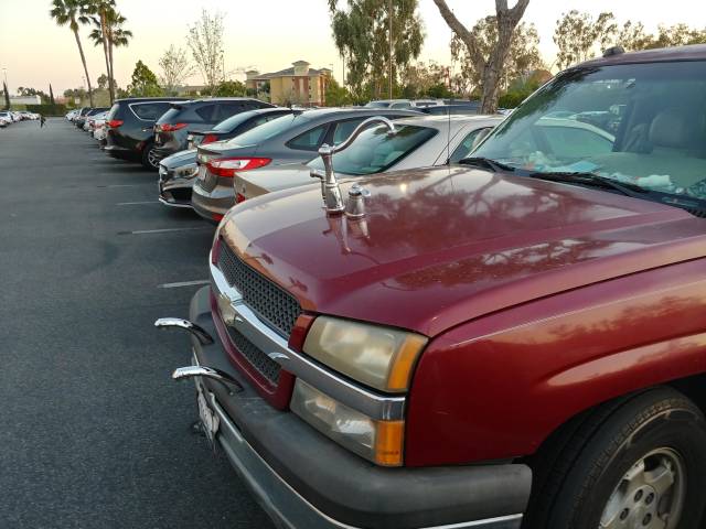 morning picdump 52 pics 9.html - 52 HD Photos | Premium Gallery 2018