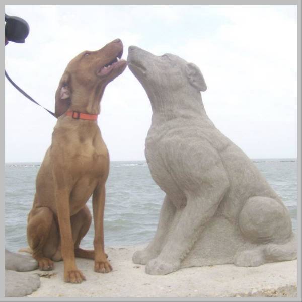 morning picdump 52 pics 9.html - 52 HD Photos | Premium Gallery 2018