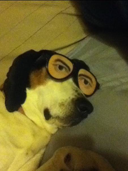 morning picdump 52 pics 9.html - 52 HD Photos | Premium Gallery 2018