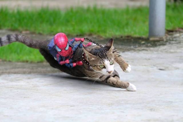 morning picdump 52 pics 9.html - 52 HD Photos | Premium Gallery 2018