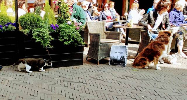 daily picdump 98 pics 34.html - 98 HD Photos | Premium Gallery 2018