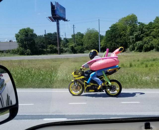 daily picdump 98 pics 34.html - 98 HD Photos | Premium Gallery 2018