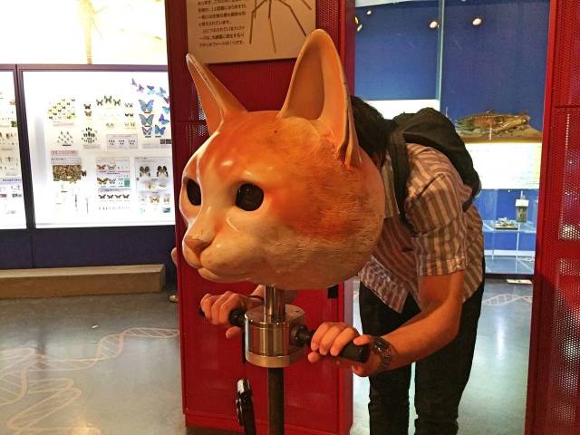 daily picdump 98 pics 34.html - 98 HD Photos | Premium Gallery 2018