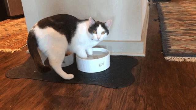 daily picdump 98 pics 34.html - 98 HD Photos | Premium Gallery 2018