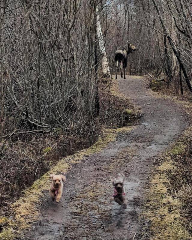 daily picdump 98 pics 34.html - 98 HD Photos | Premium Gallery 2018