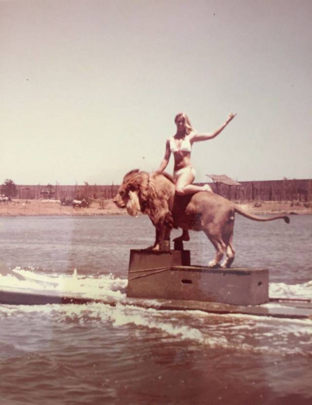 daily picdump 98 pics 34.html - 98 HD Photos | Premium Gallery 2018