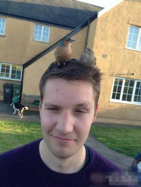 morning picdump 52 pics 15.html - 52 HD Photos | Premium Gallery 2018