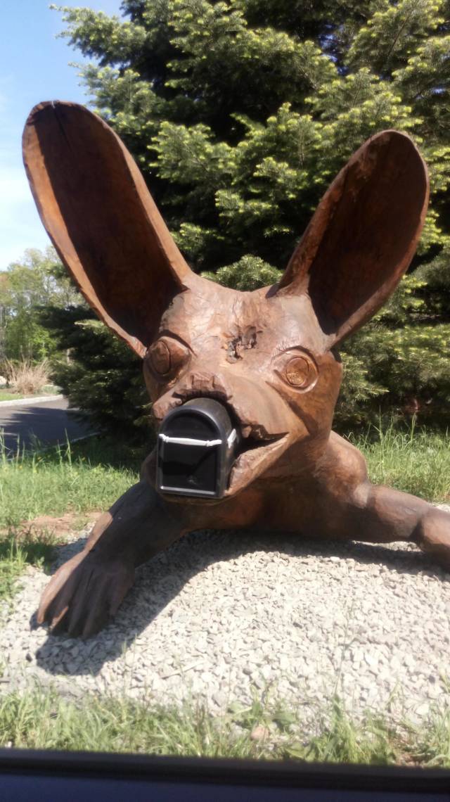 morning picdump 52 pics 15.html - 52 HD Photos | Premium Gallery 2018