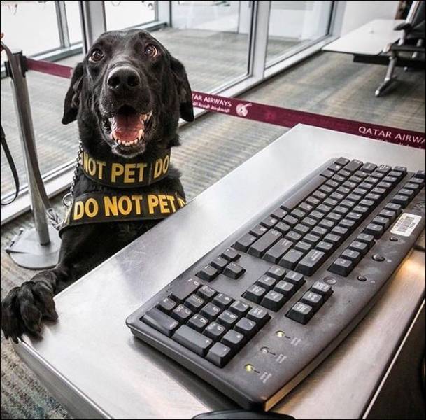 Daily Picdump