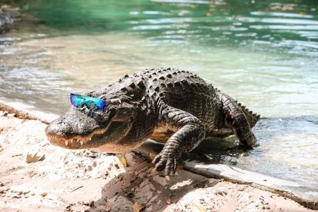 daily picdump 89 pics 33.html - 89 HD Photos | Premium Gallery 2018