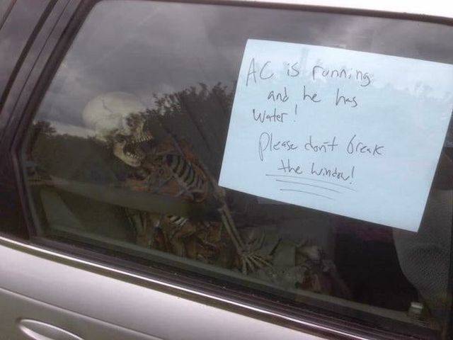 daily picdump 89 pics 33.html - 89 HD Photos | Premium Gallery 2018