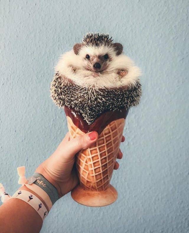 daily picdump 89 pics 33.html - 89 HD Photos | Premium Gallery 2018