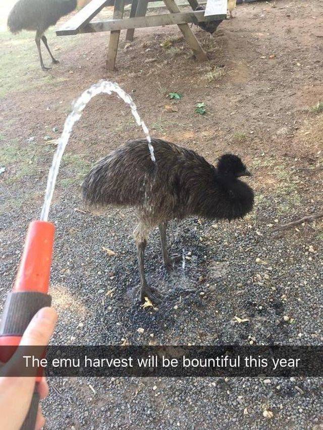 daily picdump 89 pics 33.html - 89 HD Photos | Premium Gallery 2018