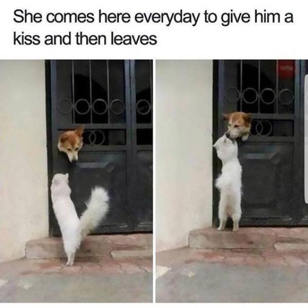 morning picdump 50 pics 23.html - 50 HD Photos | Premium Gallery 2018