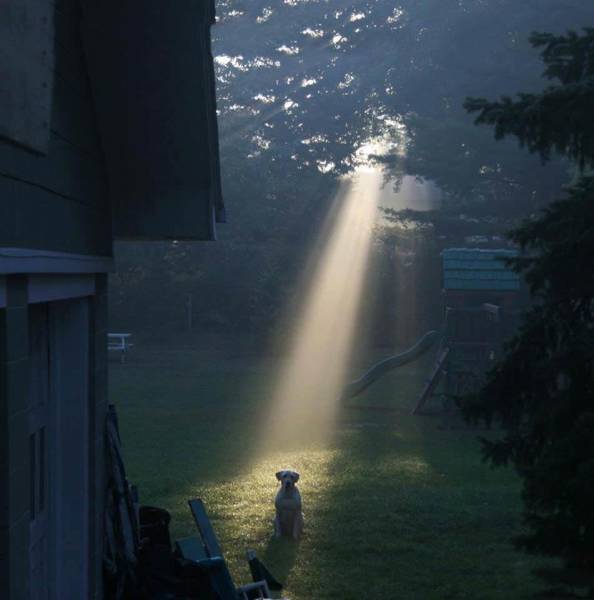 morning picdump 50 pics 23.html - 50 HD Photos | Premium Gallery 2018