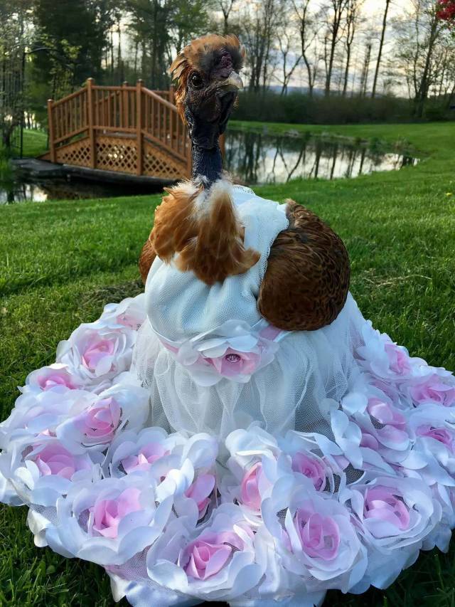 Morning Picdump