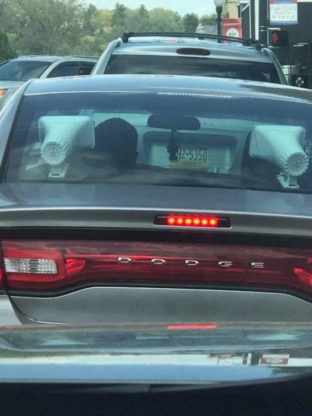 morning picdump 50 pics 23.html - 50 HD Photos | Premium Gallery 2018