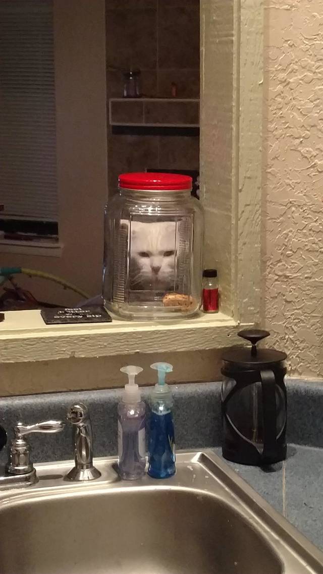 morning picdump 50 pics 23.html - 50 HD Photos | Premium Gallery 2018