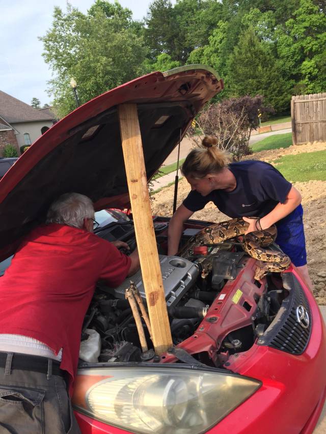 morning picdump 50 pics 23.html - 50 HD Photos | Premium Gallery 2018