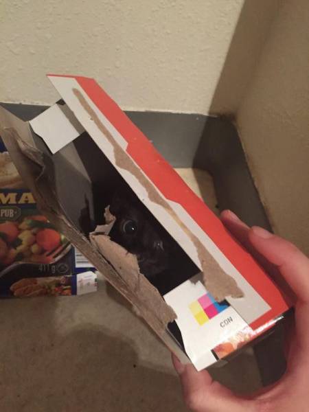 morning picdump 50 pics 23.html - 50 HD Photos | Premium Gallery 2018