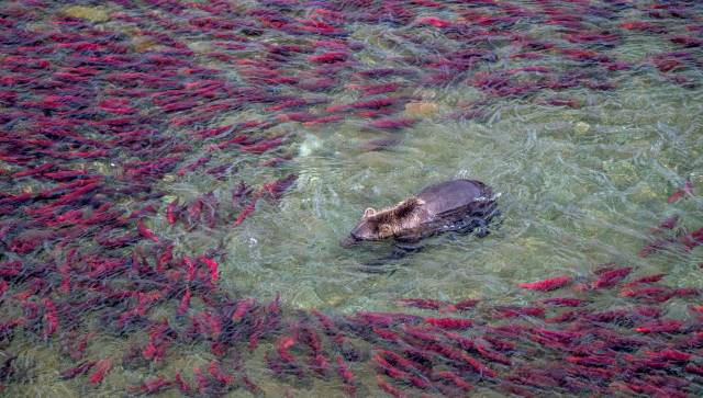 Daily Picdump [WEEKEND EDITION]