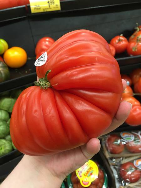 Daily Picdump [WEEKEND EDITION]