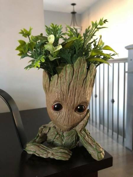 daily picdump weekend edition 52 pics 12.html - 52 HD Photos | Premium Gallery 2018