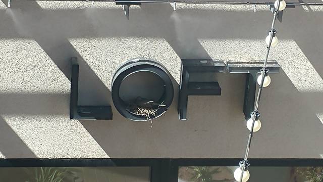 daily picdump weekend edition 52 pics 12.html - 52 HD Photos | Premium Gallery 2018