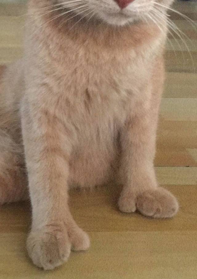 daily picdump weekend edition 52 pics 12.html - 52 HD Photos | Premium Gallery 2018