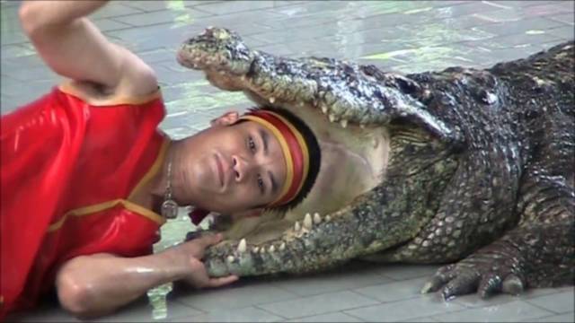 daily picdump 88 pics 27.html - 88 HD Photos | Premium Gallery 2018