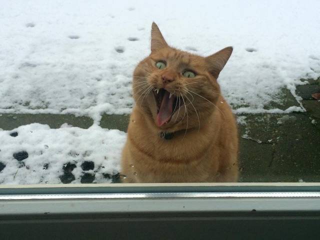 daily picdump 88 pics 27.html - 88 HD Photos | Premium Gallery 2018