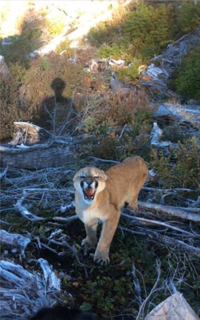 daily picdump 88 pics 27.html - 88 HD Photos | Premium Gallery 2018