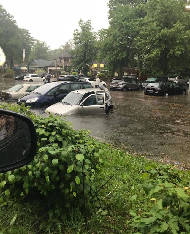 daily picdump 88 pics 27.html - 88 HD Photos | Premium Gallery 2018