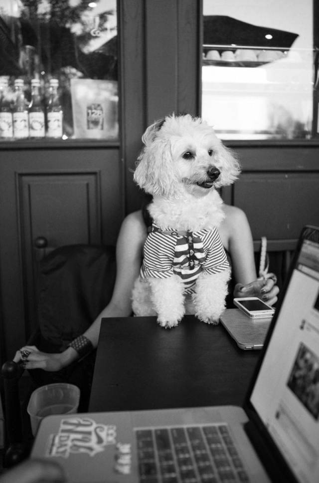 daily picdump 88 pics 27.html - 88 HD Photos | Premium Gallery 2018