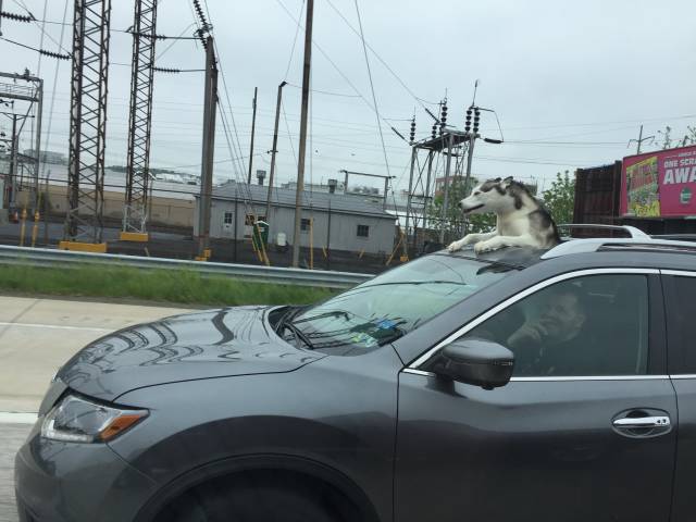 morning picdump 50 pics 17.html - 50 HD Photos | Premium Gallery 2018