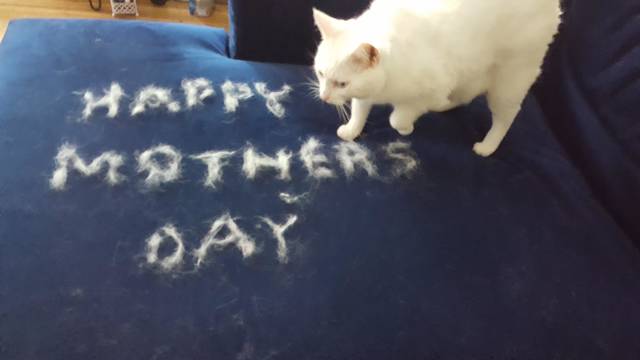 morning picdump 50 pics 17.html - 50 HD Photos | Premium Gallery 2018