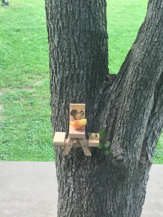 morning picdump 50 pics 17.html - 50 HD Photos | Premium Gallery 2018