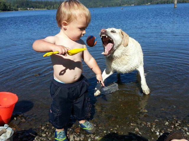 morning picdump 50 pics 17.html - 50 HD Photos | Premium Gallery 2018