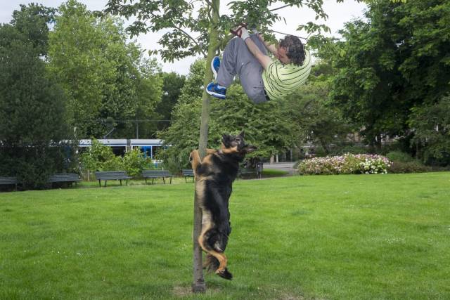 daily picdump 102 pics 8.html - 102 HD Photos | Premium Gallery 2018