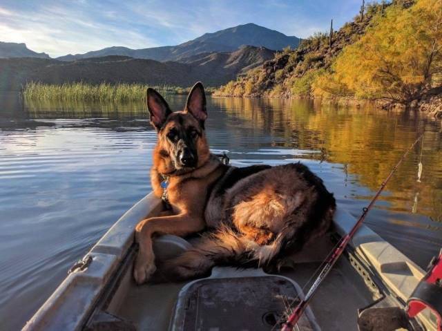 daily picdump 102 pics 8.html - 102 HD Photos | Premium Gallery 2018