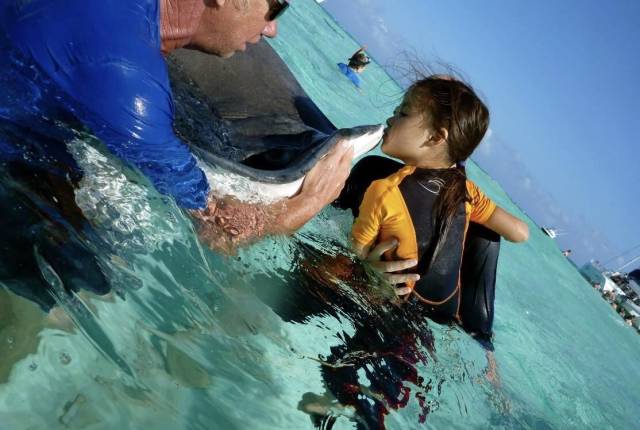 daily picdump 102 pics 8.html - 102 HD Photos | Premium Gallery 2018