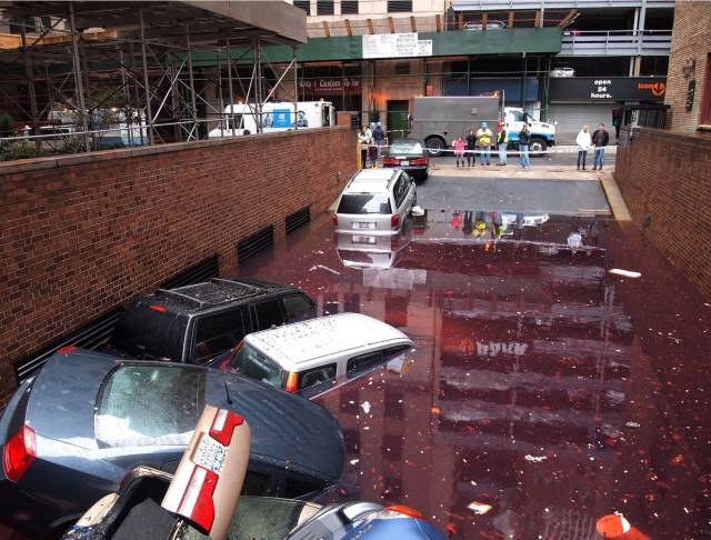 daily picdump 102 pics 8.html - 102 HD Photos | Premium Gallery 2018