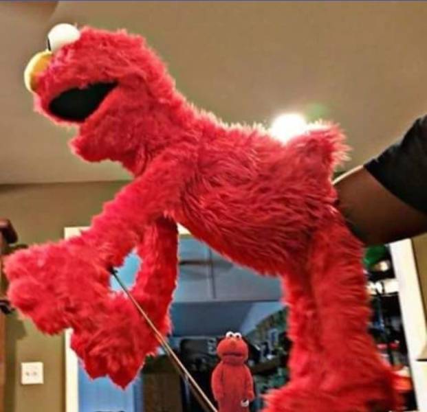 daily picdump 102 pics 8.html - 102 HD Photos | Premium Gallery 2018