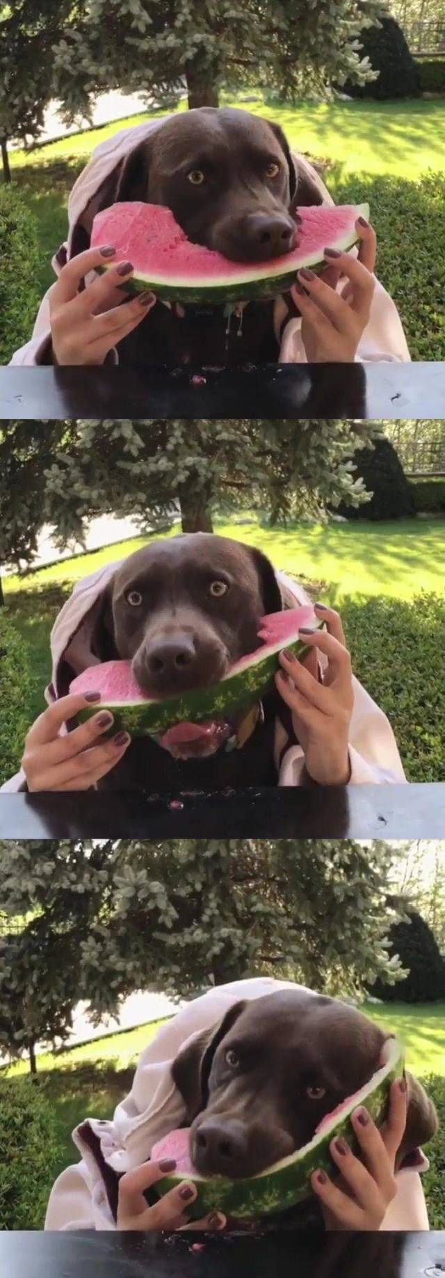 daily picdump 102 pics 8.html - 102 HD Photos | Premium Gallery 2018