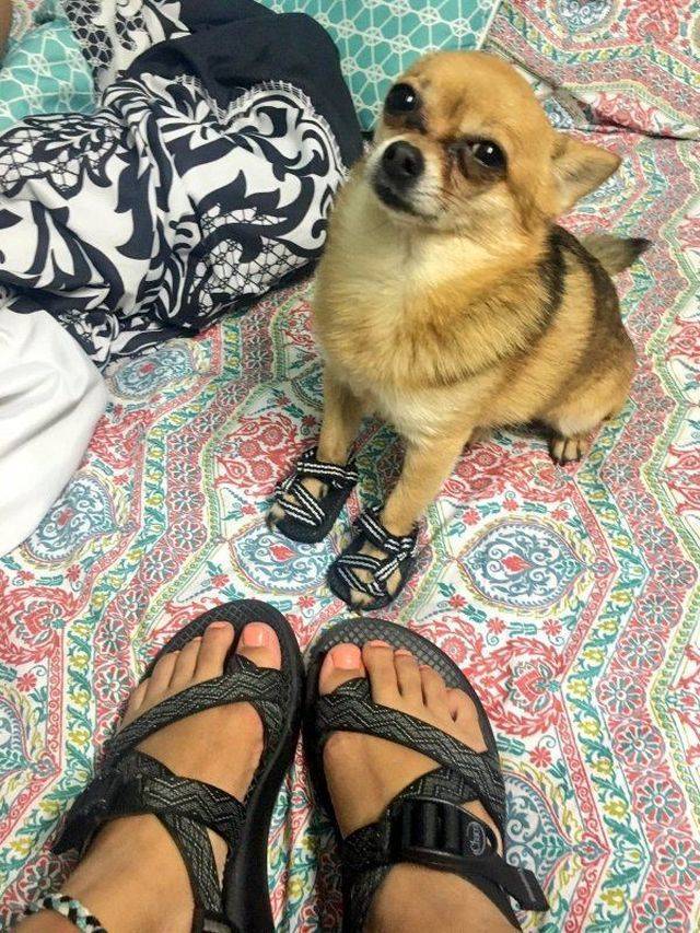 daily picdump 102 pics 8.html - 102 HD Photos | Premium Gallery 2018