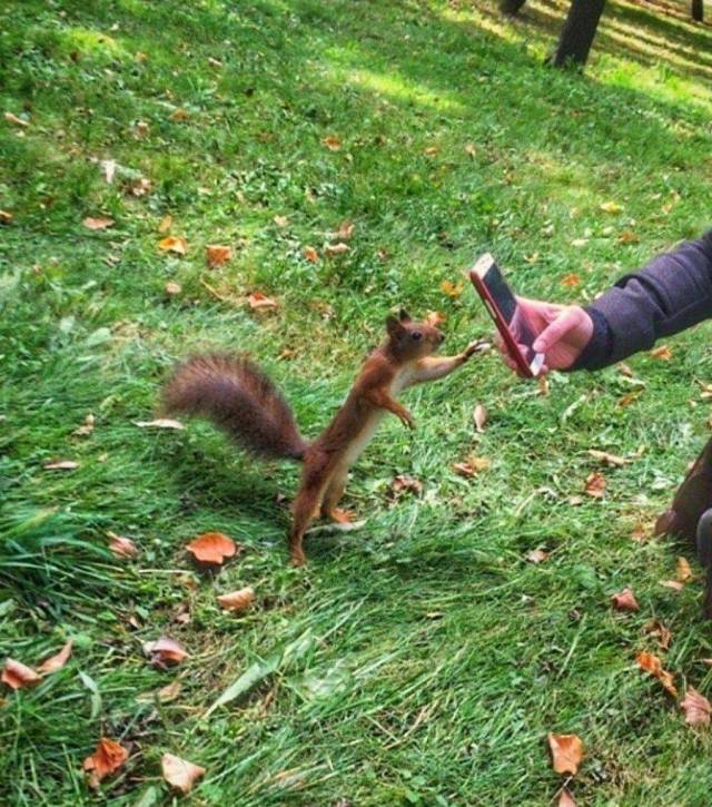 daily picdump 102 pics 8.html - 102 HD Photos | Premium Gallery 2018