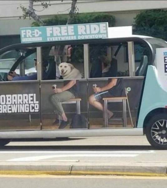 Morning Picdump
