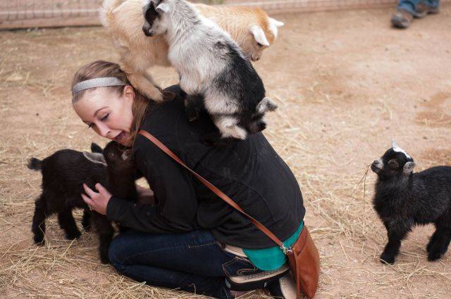 morning picdump 50 pics 3.html - 50 HD Photos | Premium Gallery 2018