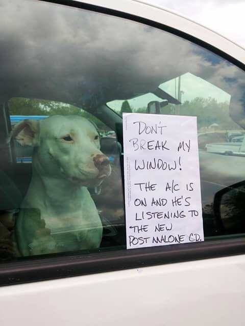 Morning Picdump